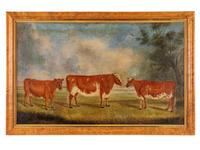 Three Cows