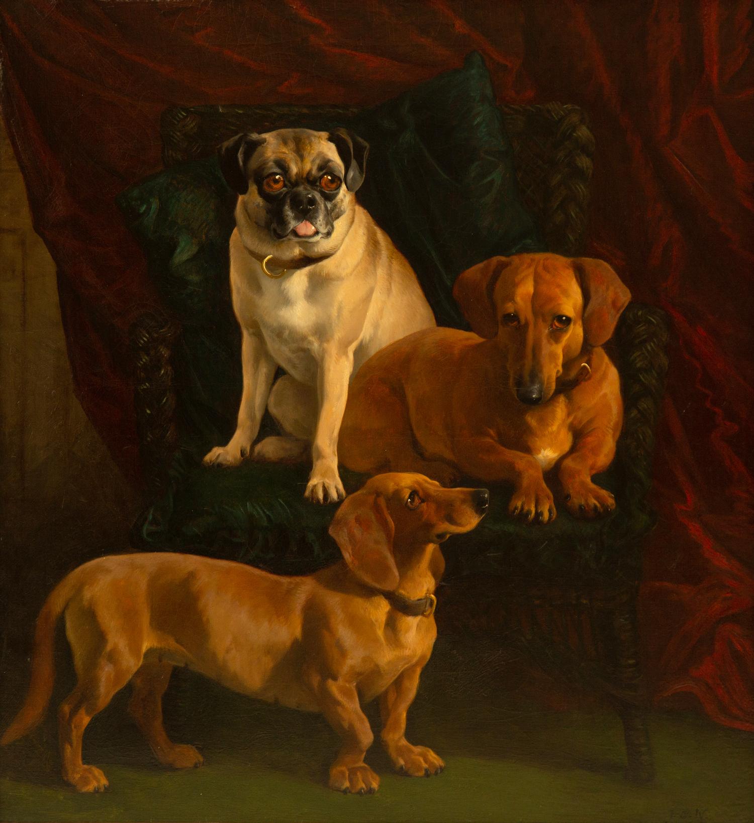 Dachshunds and a Pug