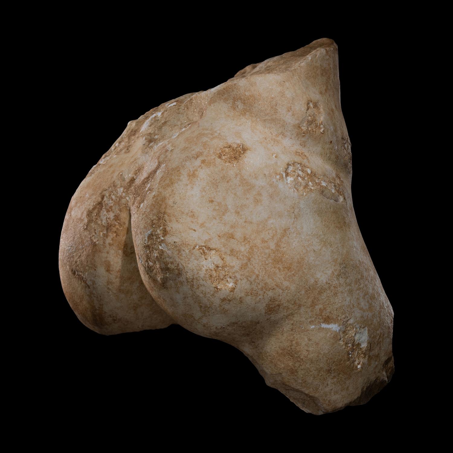 A Roman Marble Lower Torso of a Satyr