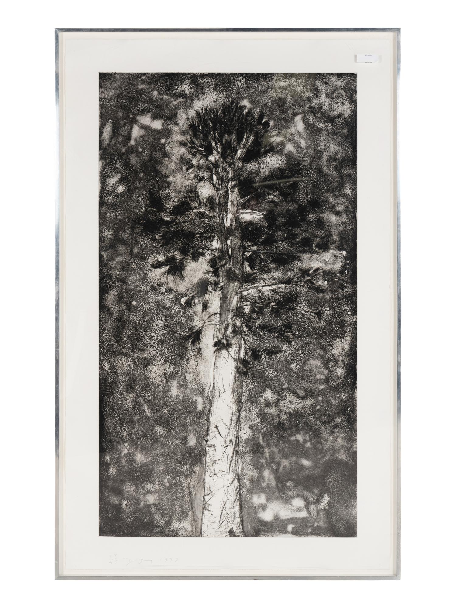 The Pine in a Storm of Aquatint