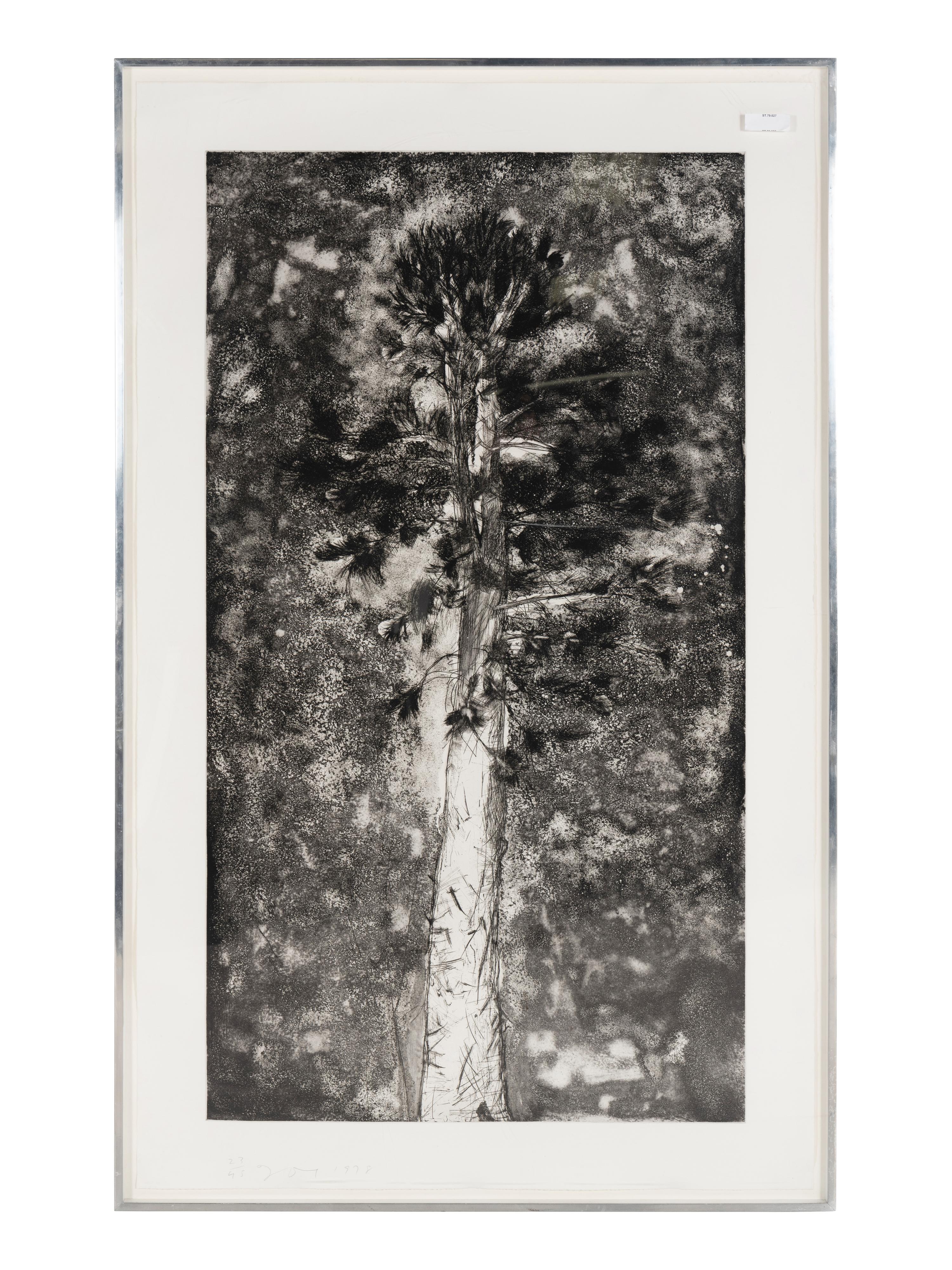The Pine in a Storm of Aquatint