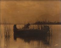 CURTIS, Edward S (1868-1952), photographer. The Rush Gatherer .