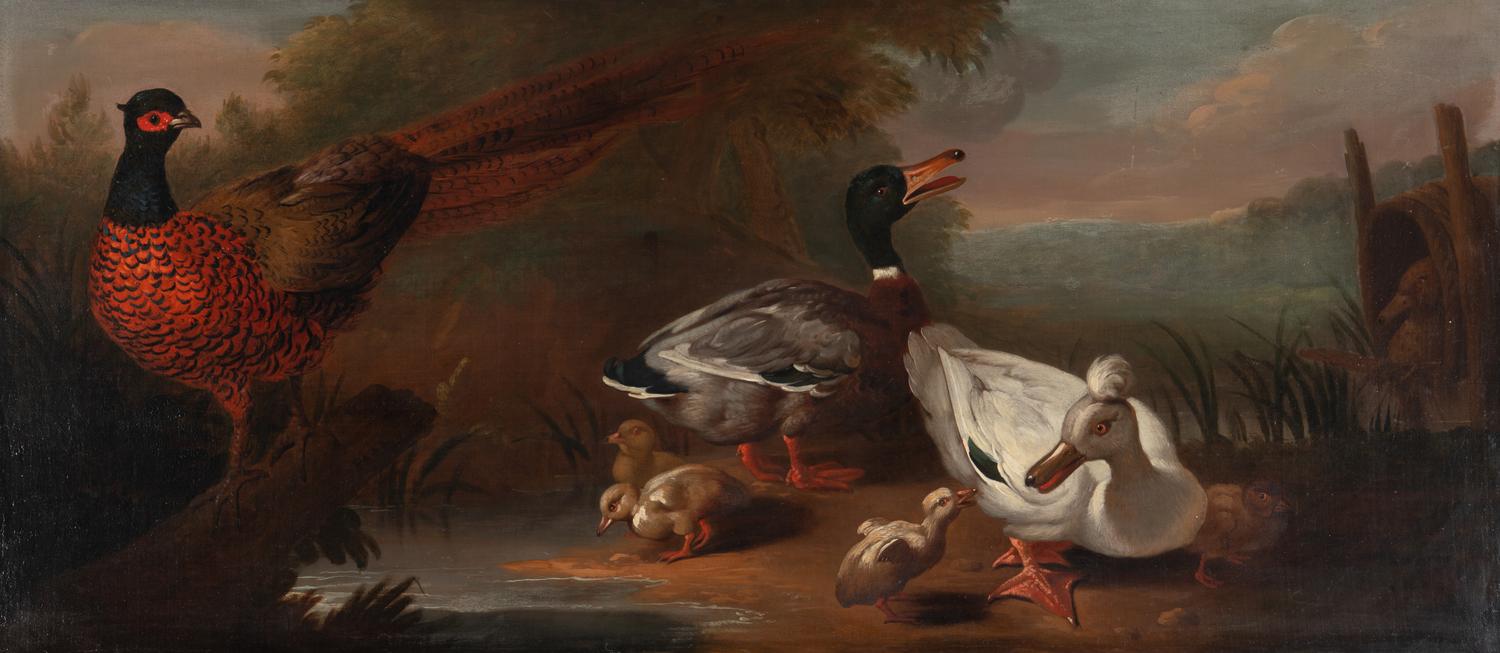 A Landscape with Wild Fowl