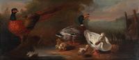 A Landscape with Wild Fowl