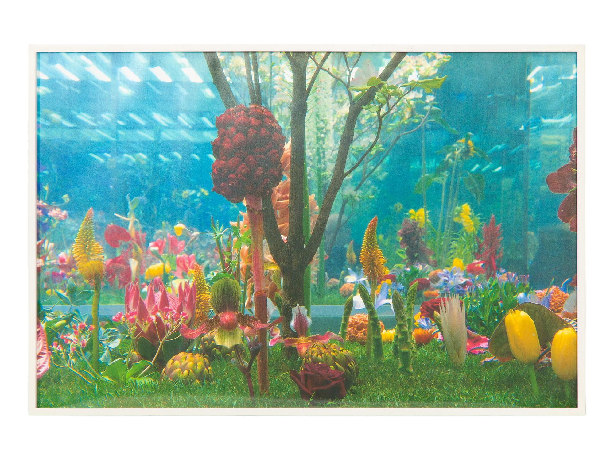Garden² (complete portfolio of 8), 2000