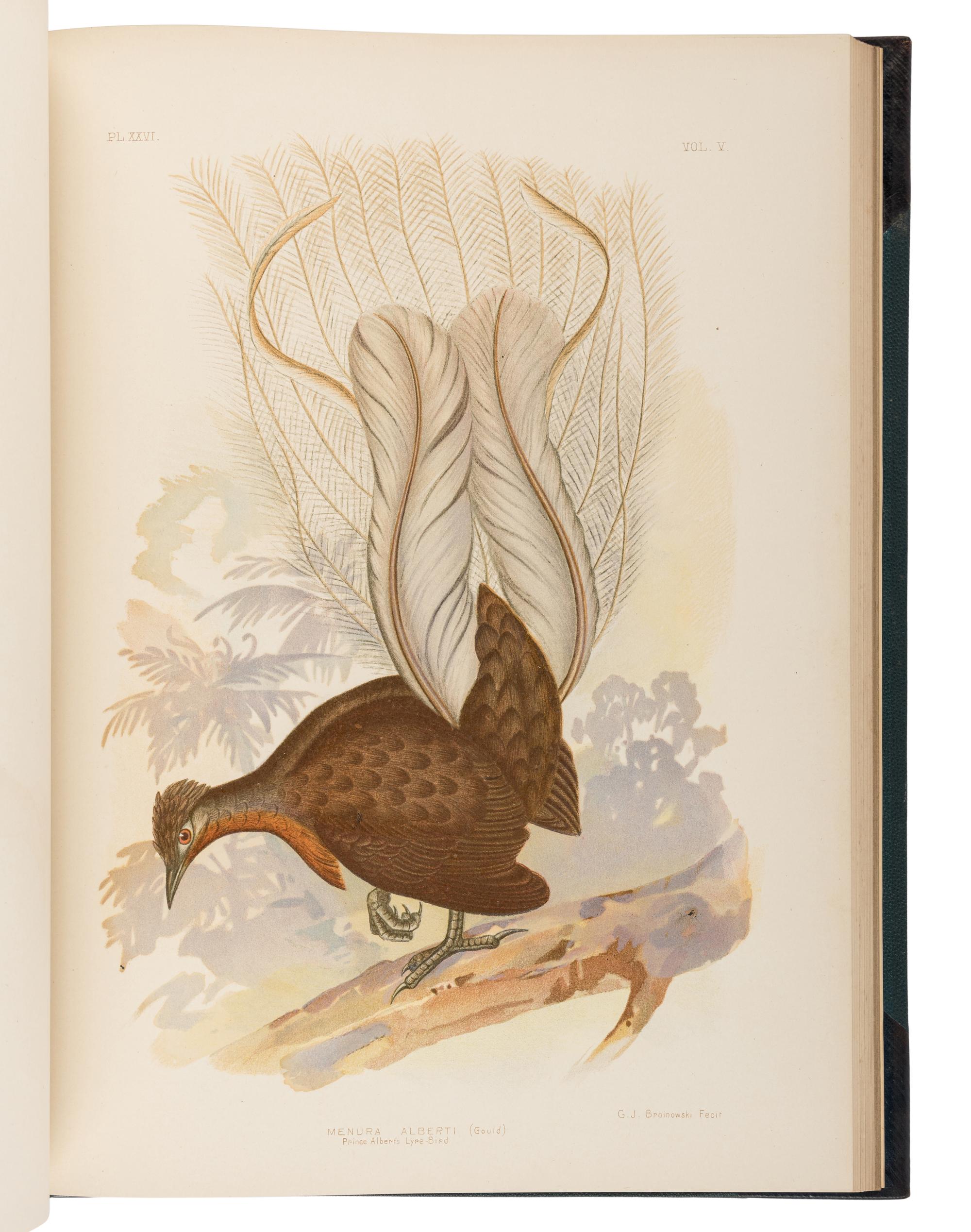 BROINOWSKI, Gracius Joseph (1837-1913). The Birds of Australia . Melbourne, Sydney, Adelaide, Brisbane, New Zealand and Tasmania: S.T. Leigh & Co. for Charles Stuart & Co., 1890-1891.