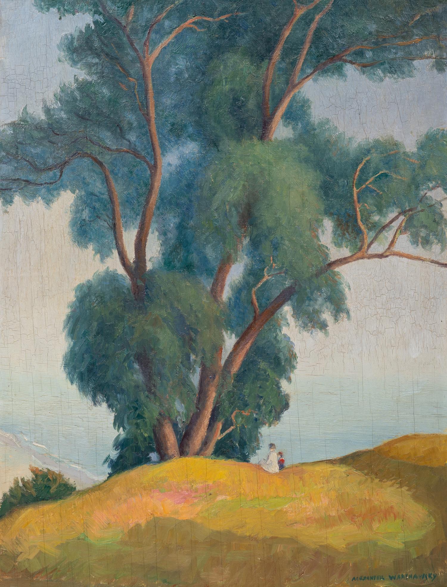 Eucalyptus Trees, Santa Monica Palisades, California