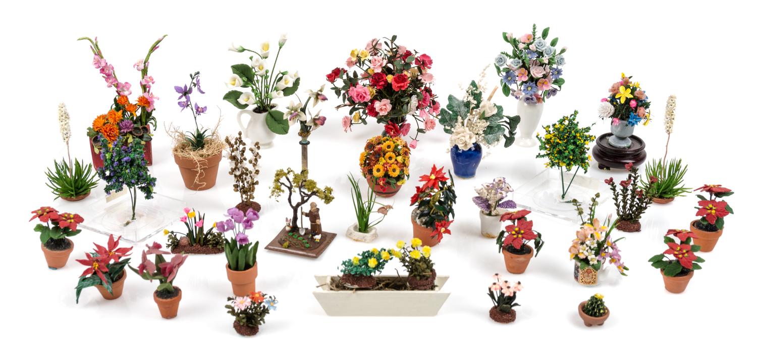 A Collection of Plants Height of tallest 3 5/8 inches.
