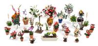 A Collection of Plants Height of tallest 3 5/8 inches.