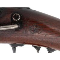 Springfield Model 1877 Carbine