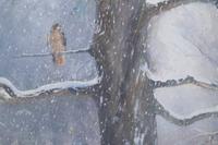 Snowy Landscape with Hawk