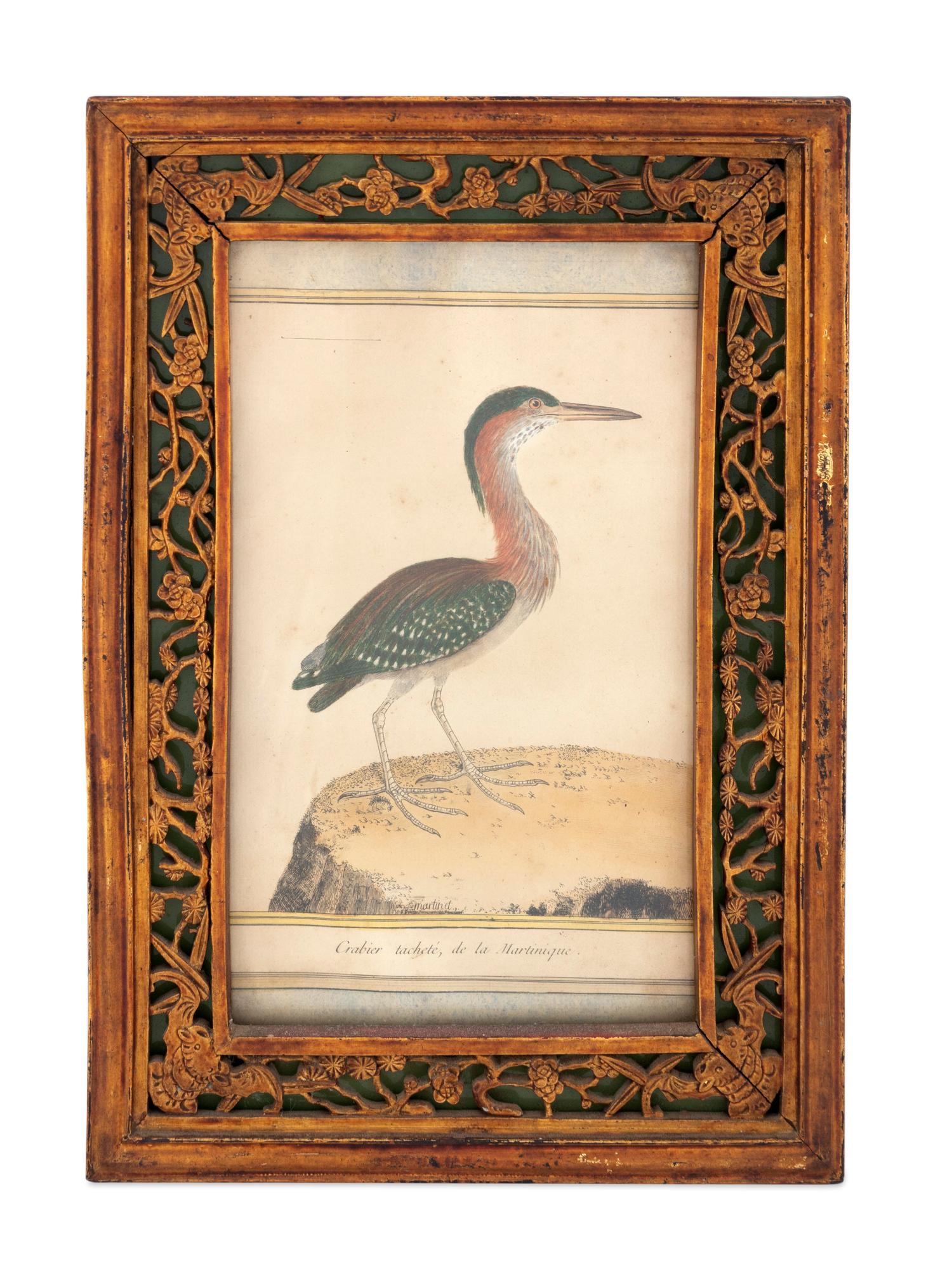 Twelve French Hand-Colored Bird Engravings — Designed and Engraved by Francois Nicolas Martinet (1731-1804); From Histoire Naturelle des Oiseaux by George-Louis Marie Leclere, Comte de Buffon; Printed at the Imprimerie Royale, 1770-1786
