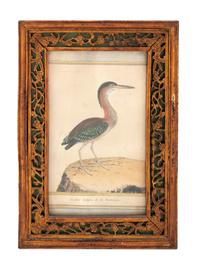 Twelve French Hand-Colored Bird Engravings — Designed and Engraved by Francois Nicolas Martinet (1731-1804); From Histoire Naturelle des Oiseaux by George-Louis Marie Leclere, Comte de Buffon; Printed at the Imprimerie Royale, 1770-1786