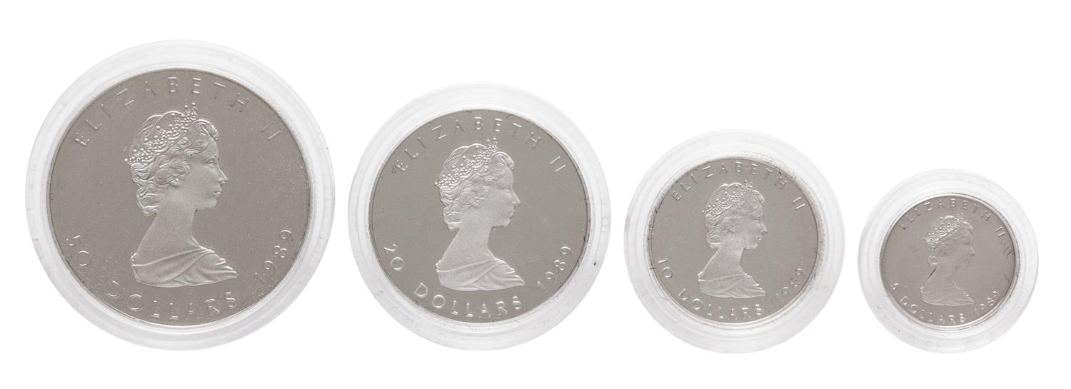 A Royal Canandian Mint 1989 Maple Leaf Platinum Four-Coin Proof Set