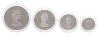 A Royal Canandian Mint 1989 Maple Leaf Platinum Four-Coin Proof Set