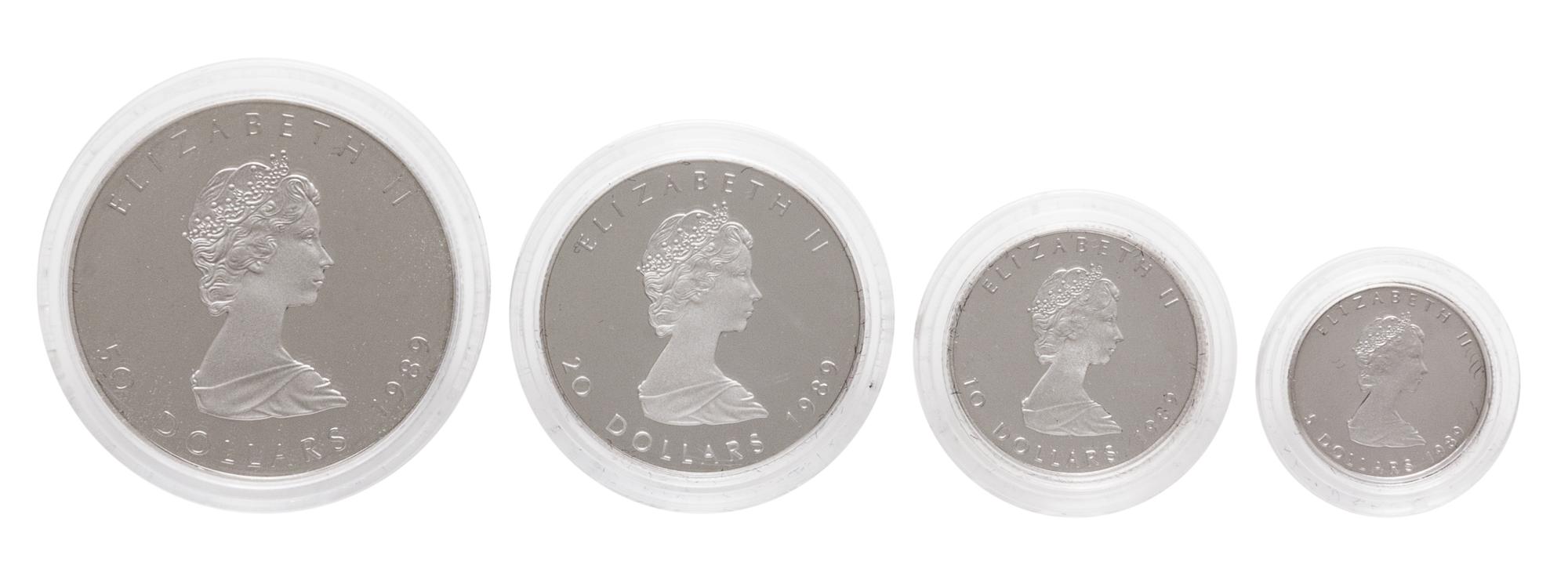 A Royal Canandian Mint 1989 Maple Leaf Platinum Four-Coin Proof Set