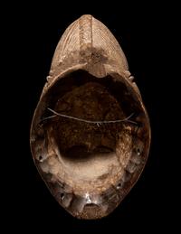 Four Punu Wood Masks