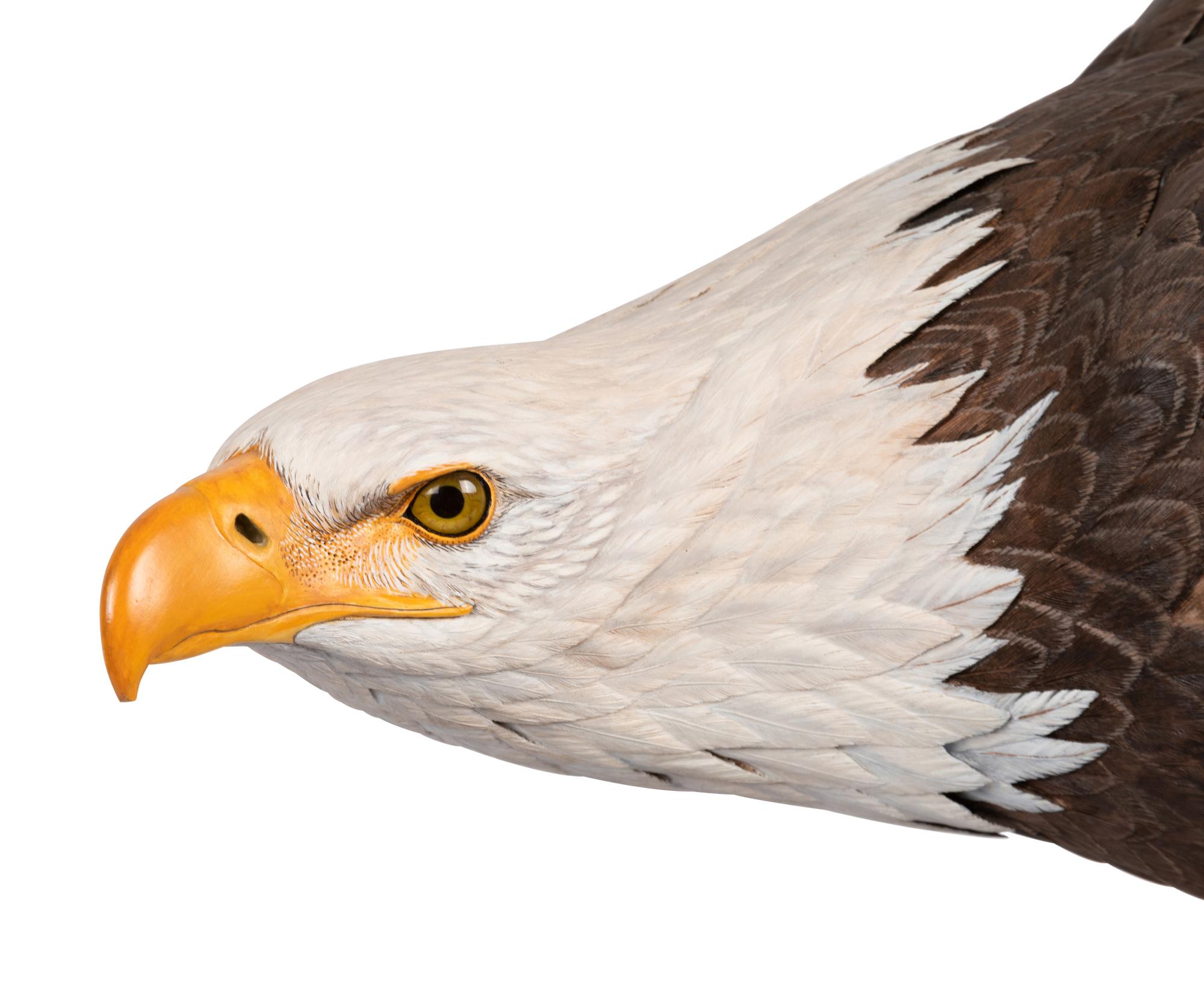 Approaching Storm (Bald Eagle) , 1988