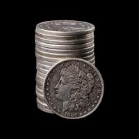 A Group of Twenty Morgan $1 Coins