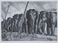 John Steuart Curry, (American, 1897-1946), Elephants, 1936