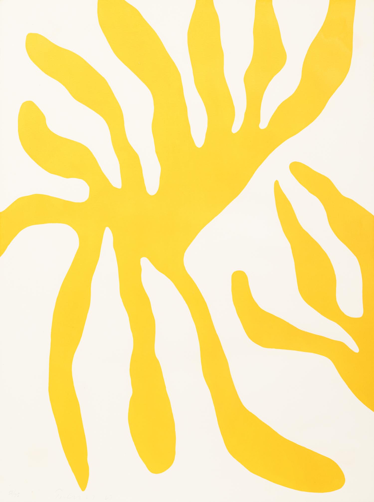 Leaves, Red and Yellow Leaf Form (A Pair of Prints)