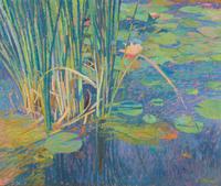 Water Lillies