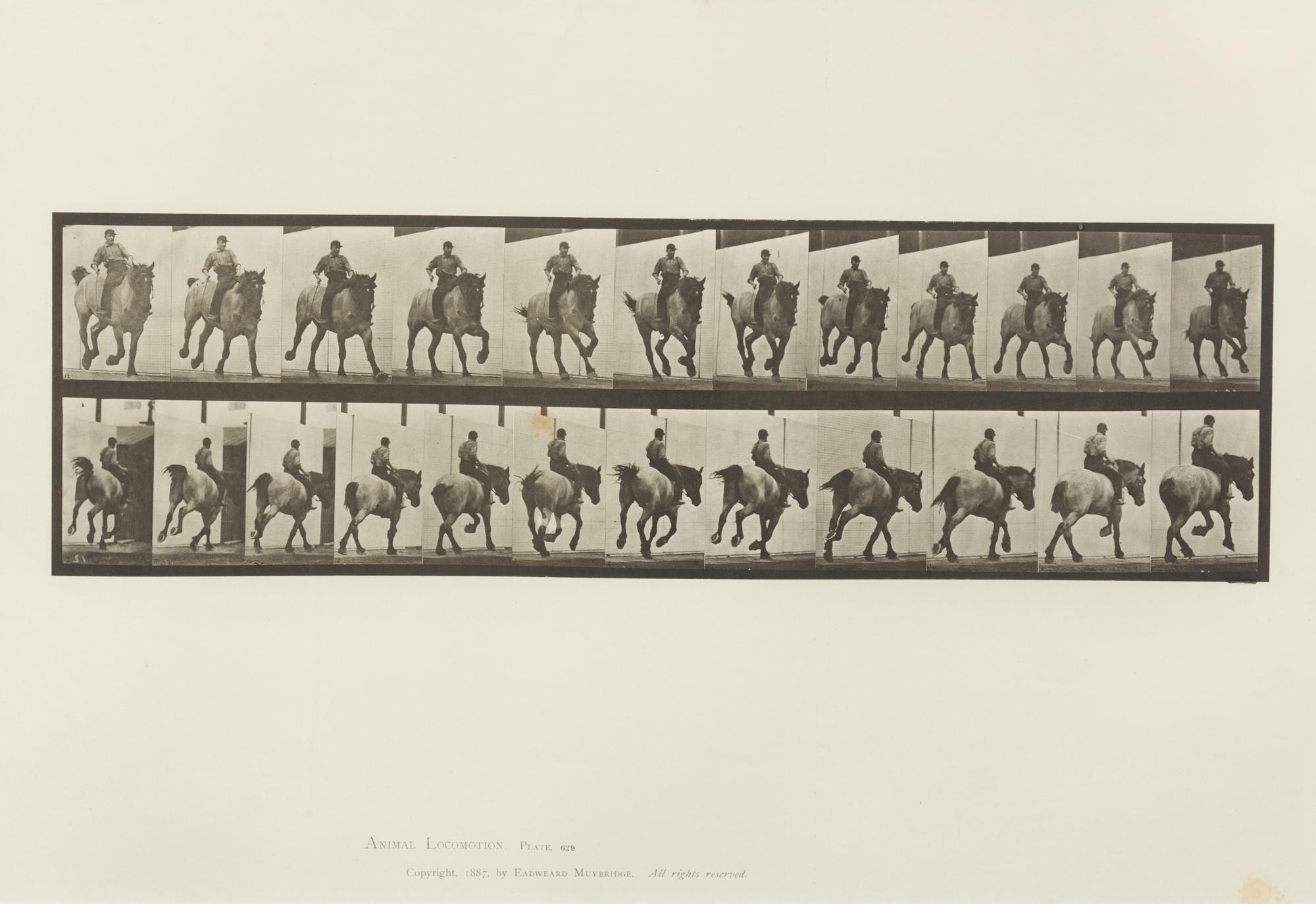 Eadweard Muybridge, (American/British, 1830-1904), Animal Locomotion Plate 573, Animal Locomotion Plate 629 and Animal Locomotion Plate