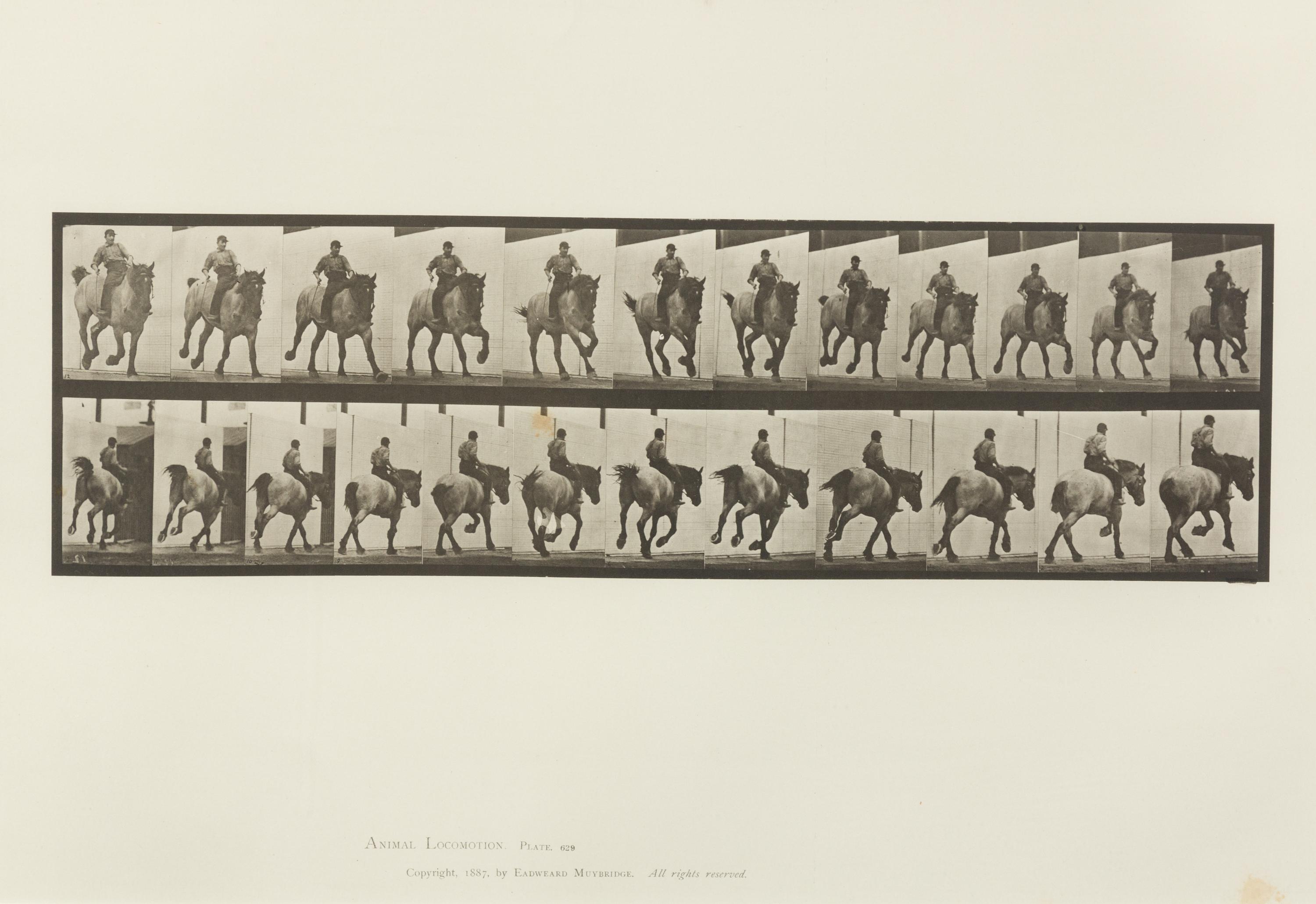 Eadweard Muybridge, (American/British, 1830-1904), Animal Locomotion Plate 573, Animal Locomotion Plate 629 and Animal Locomotion Plate
