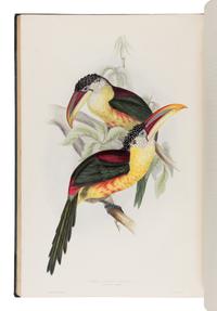 [Natural History]. Gould, John (1804-1881). A Monograph of the Ramphastidae, or Family of Toucans . London: Published by the Author, [1833-] 1834 [-1835].