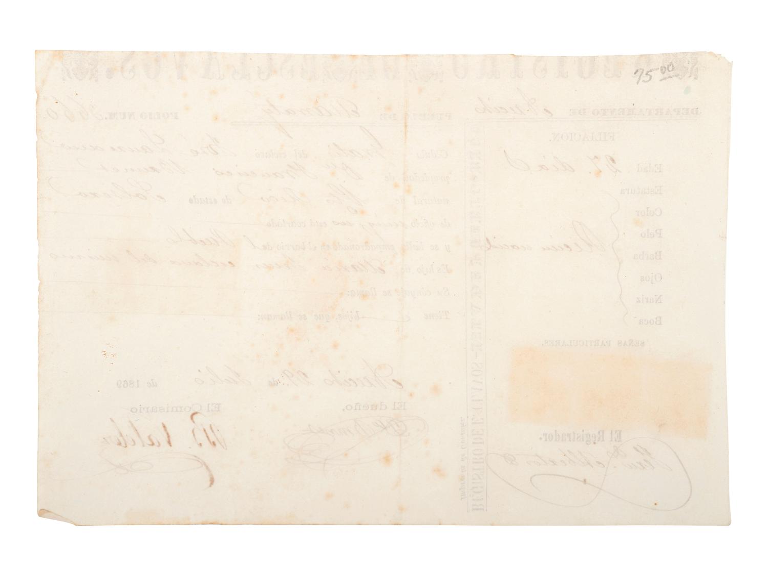 [SLAVERY & ABOLITION]. Partially printed Spanish-language "Registro de Esclavos," a Puerto Rican registration document for enslaved infant "José Laurence." 29 July 1869.