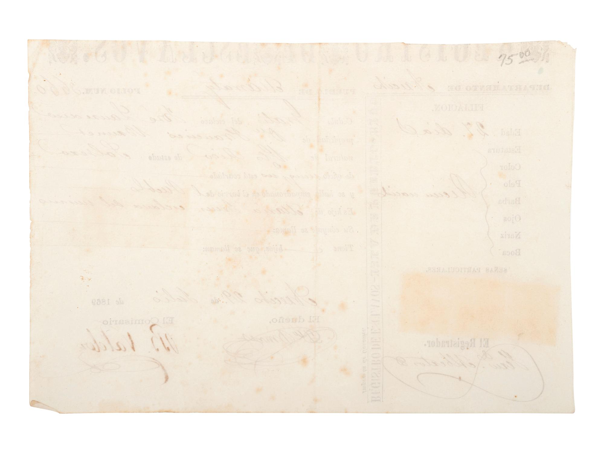 [SLAVERY & ABOLITION]. Partially printed Spanish-language "Registro de Esclavos," a Puerto Rican registration document for enslaved infant "José Laurence." 29 July 1869.