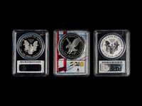 A Collection of Nineteen PCGS Garded PR70 DCAM Silver Eagle $1 Proof and Reverse Proof Coins
