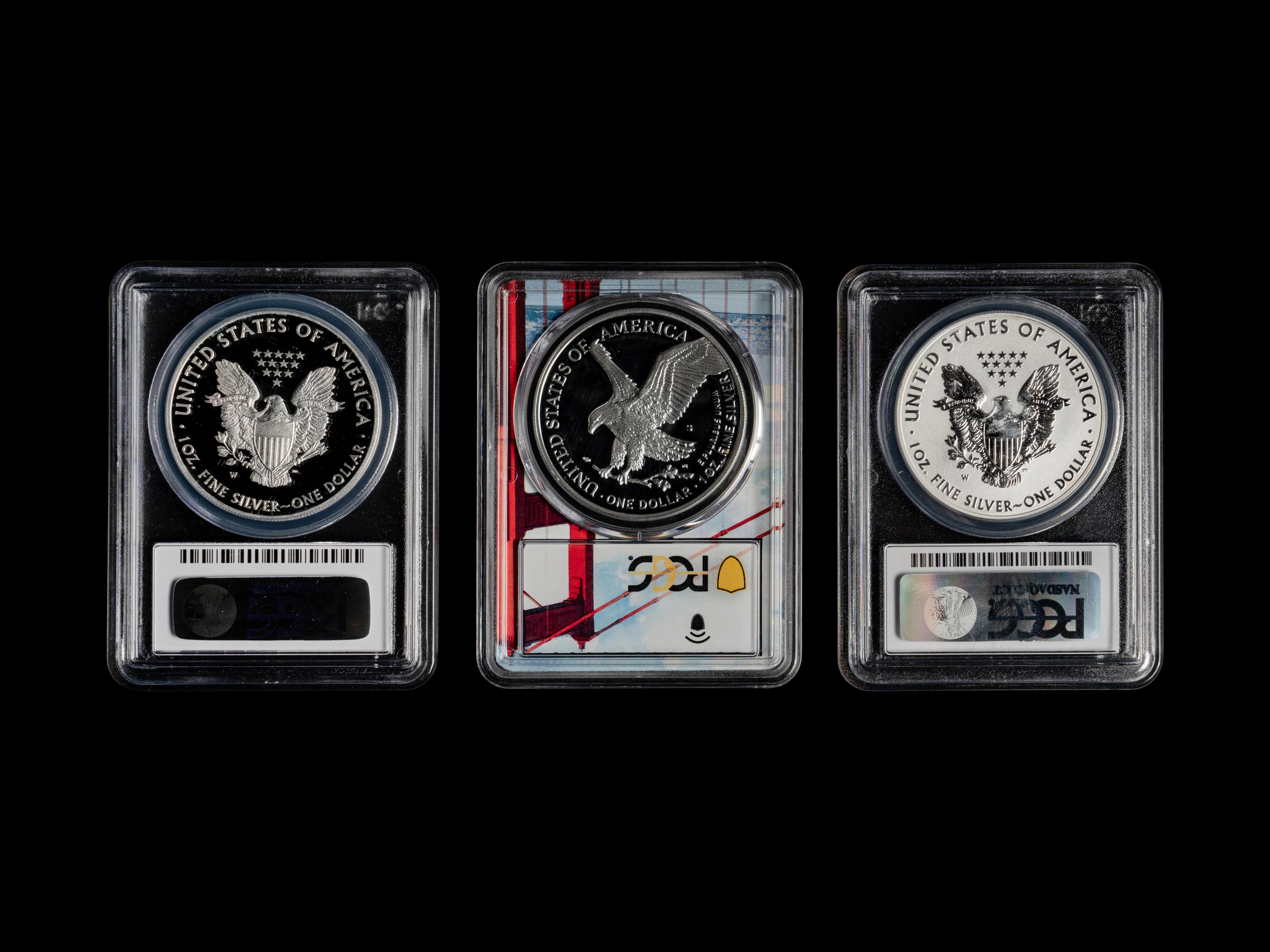 A Collection of Nineteen PCGS Garded PR70 DCAM Silver Eagle $1 Proof and Reverse Proof Coins