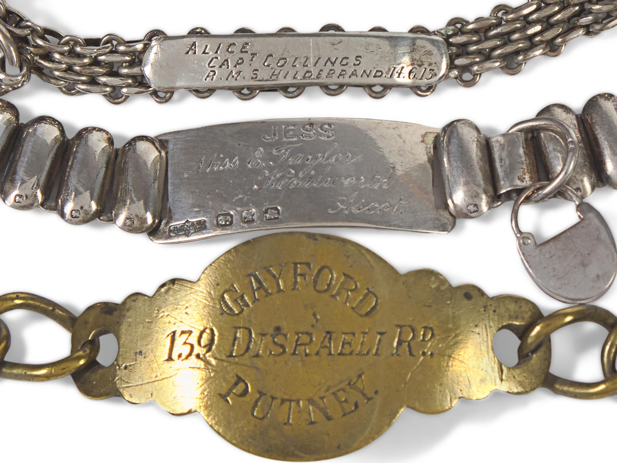 A Group of Thirteen Silver, Brass, Iron, and Mixed Metal Chain Link Dog Collars