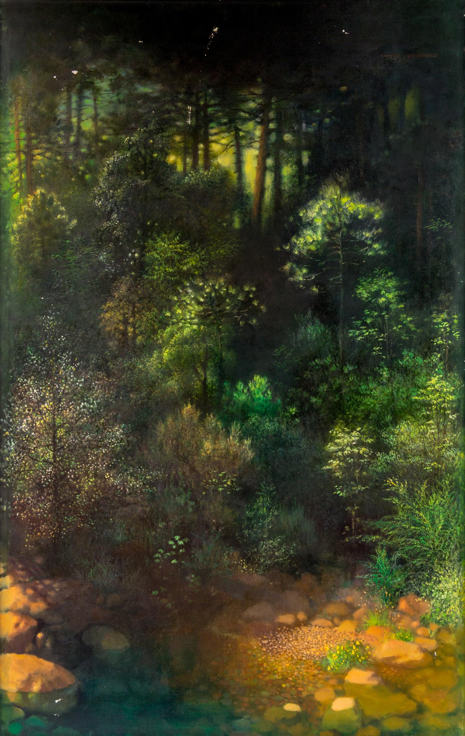 Artist Unknown, , Lake in Forest