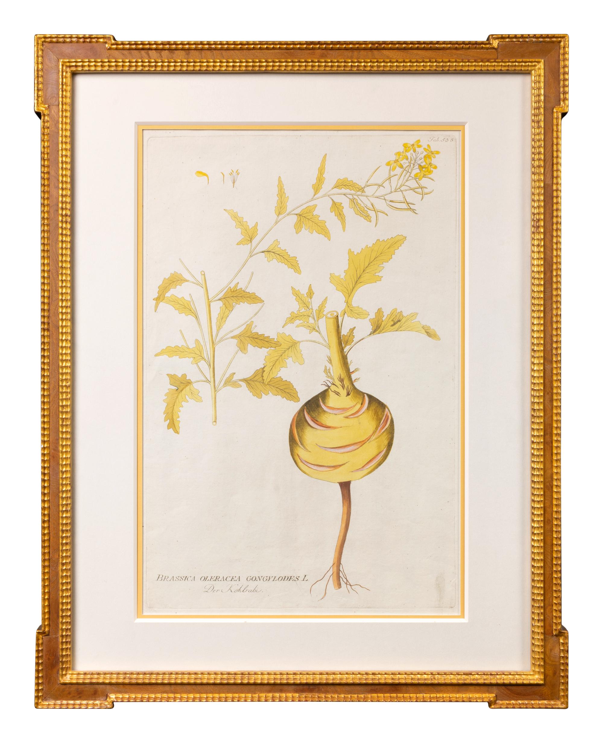 A Set of Four Framed Hand-Colored Botanical Engravings