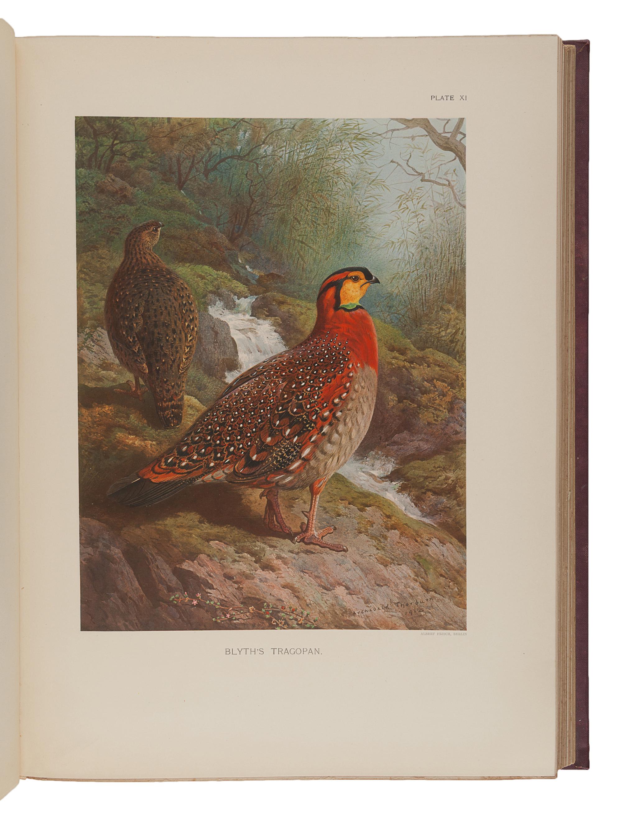 BEEBE, Charles William (1877-1962). A Monograph of the Pheasants . London: Witherby & Co., 1918-1922.