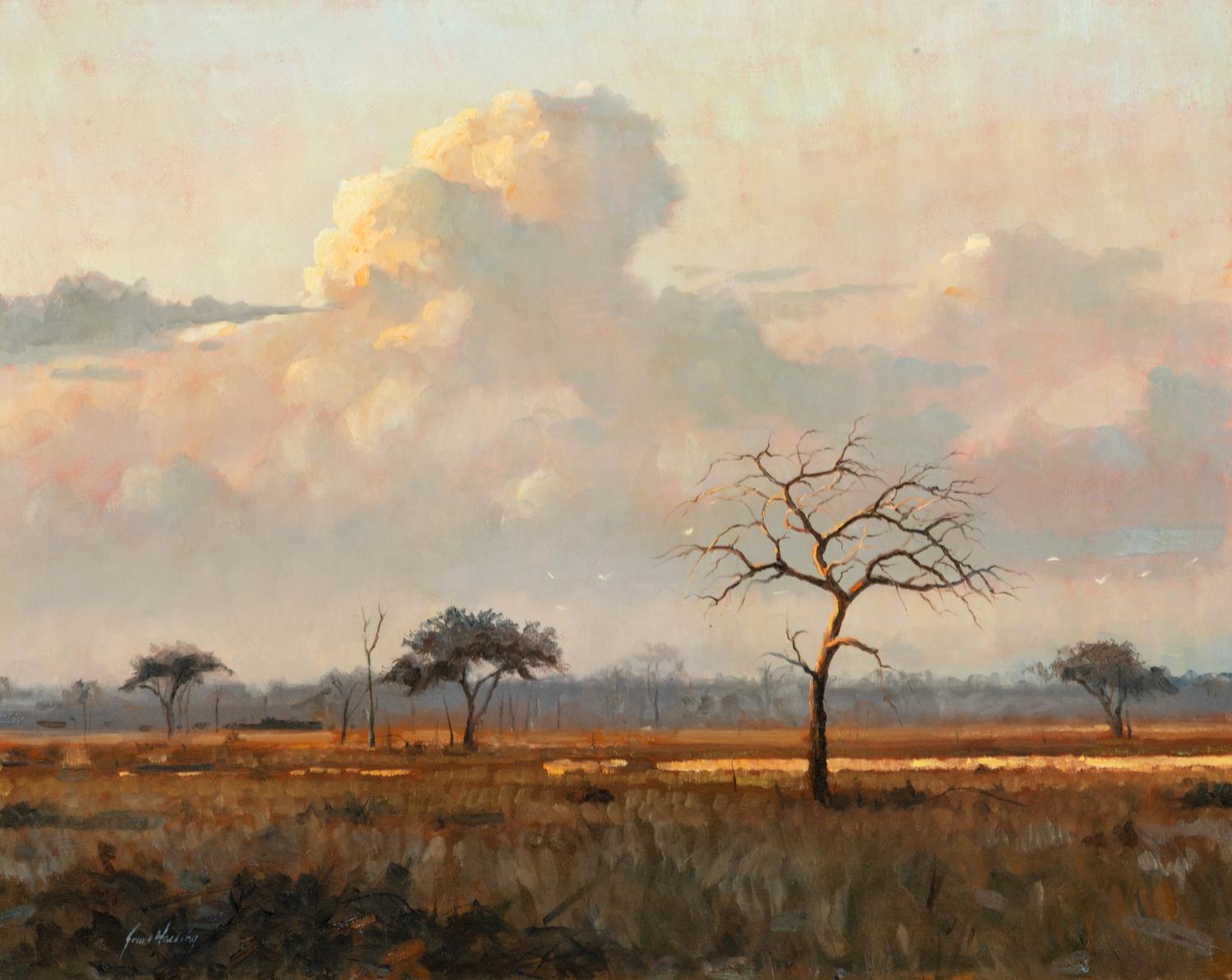 African Sky