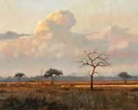 African Sky