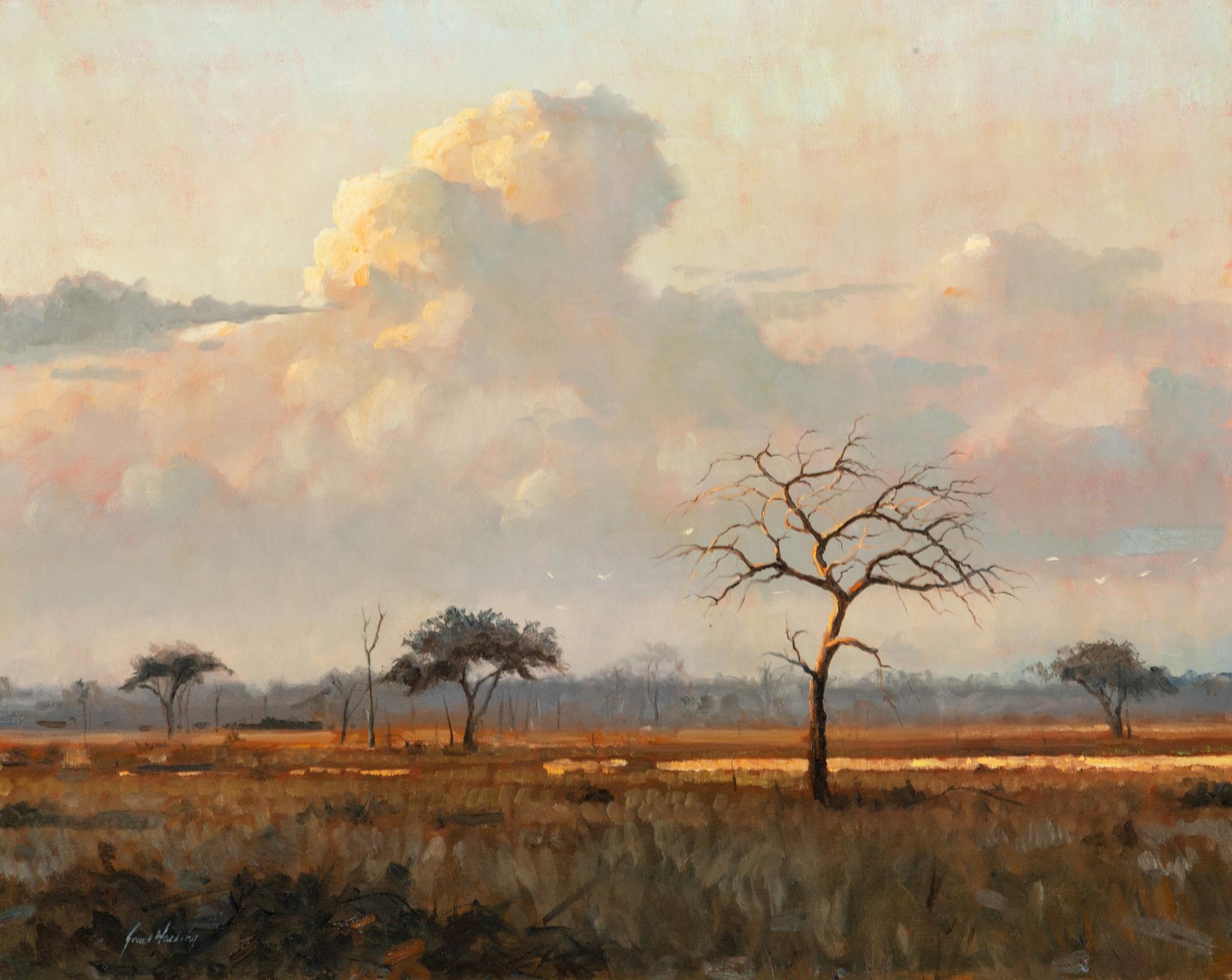 African Sky