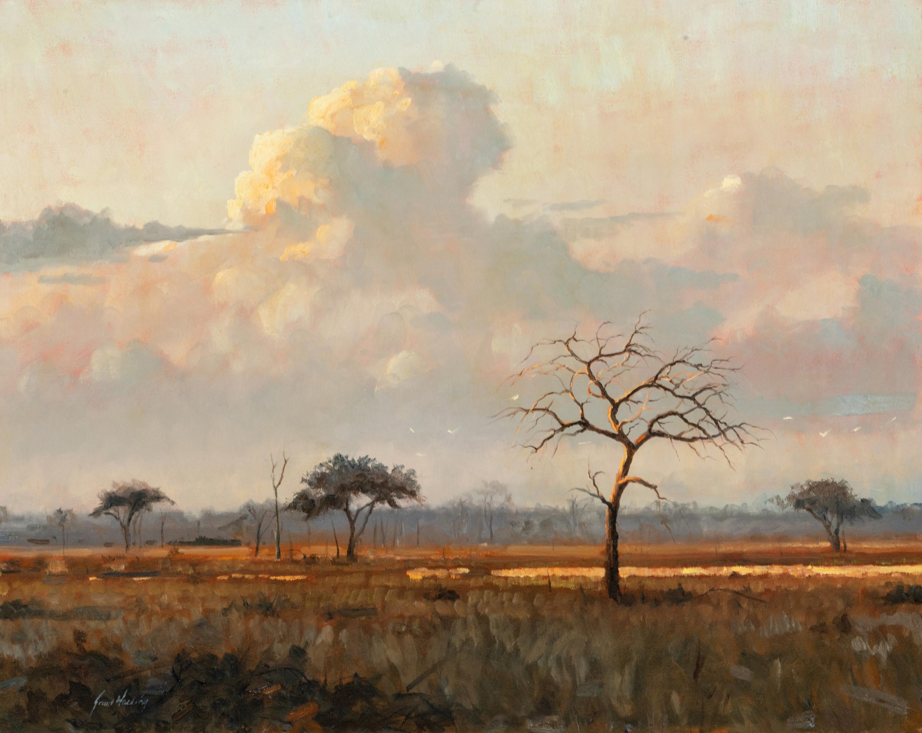 African Sky
