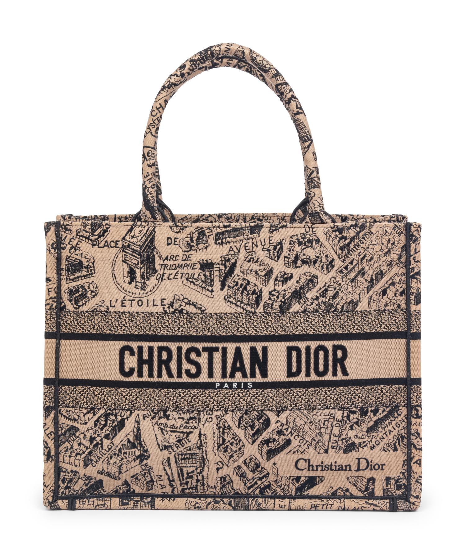 CHRISTIAN DIOR 'PLAN DE PARIS' BOOK TOTE