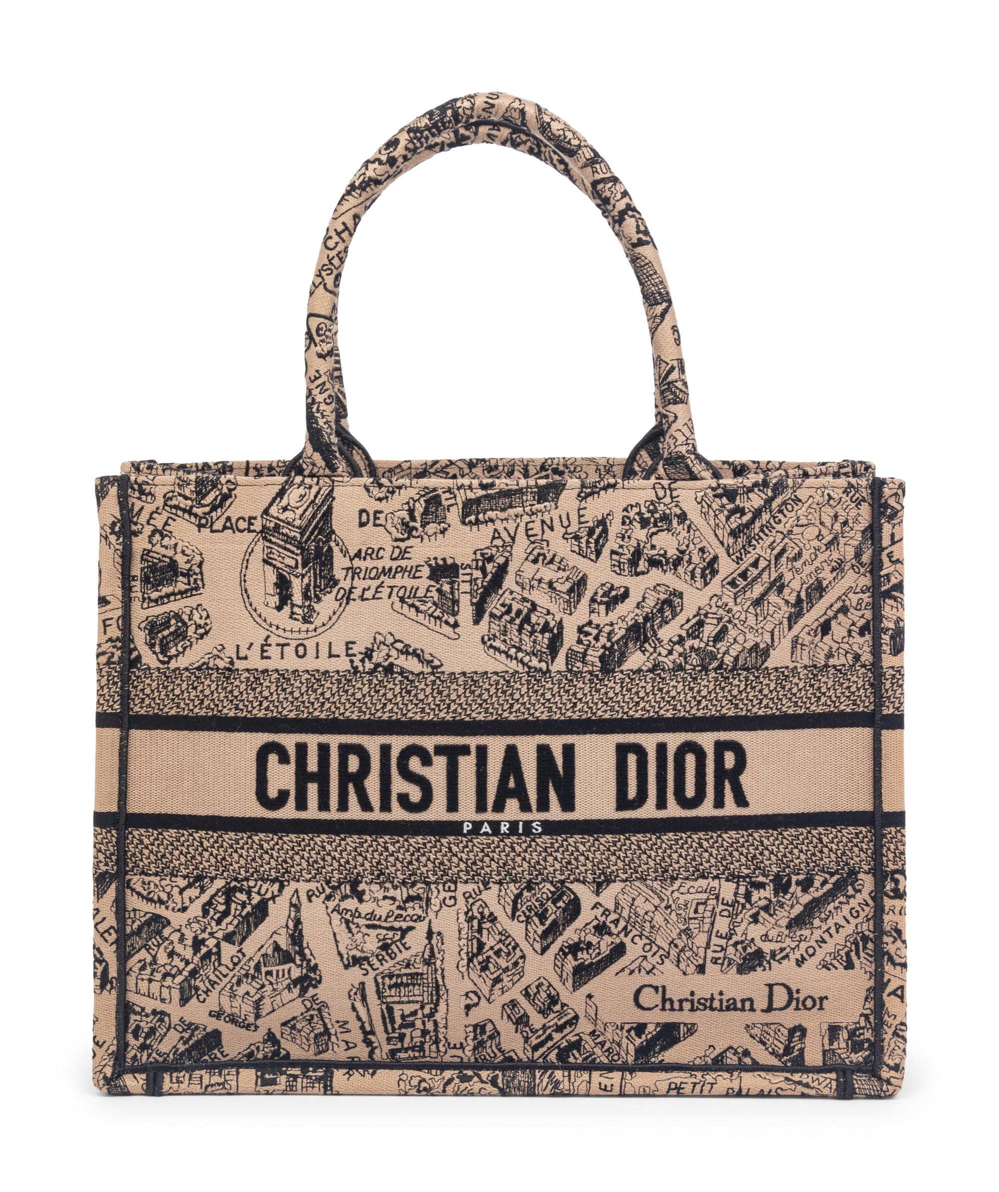 CHRISTIAN DIOR 'PLAN DE PARIS' BOOK TOTE