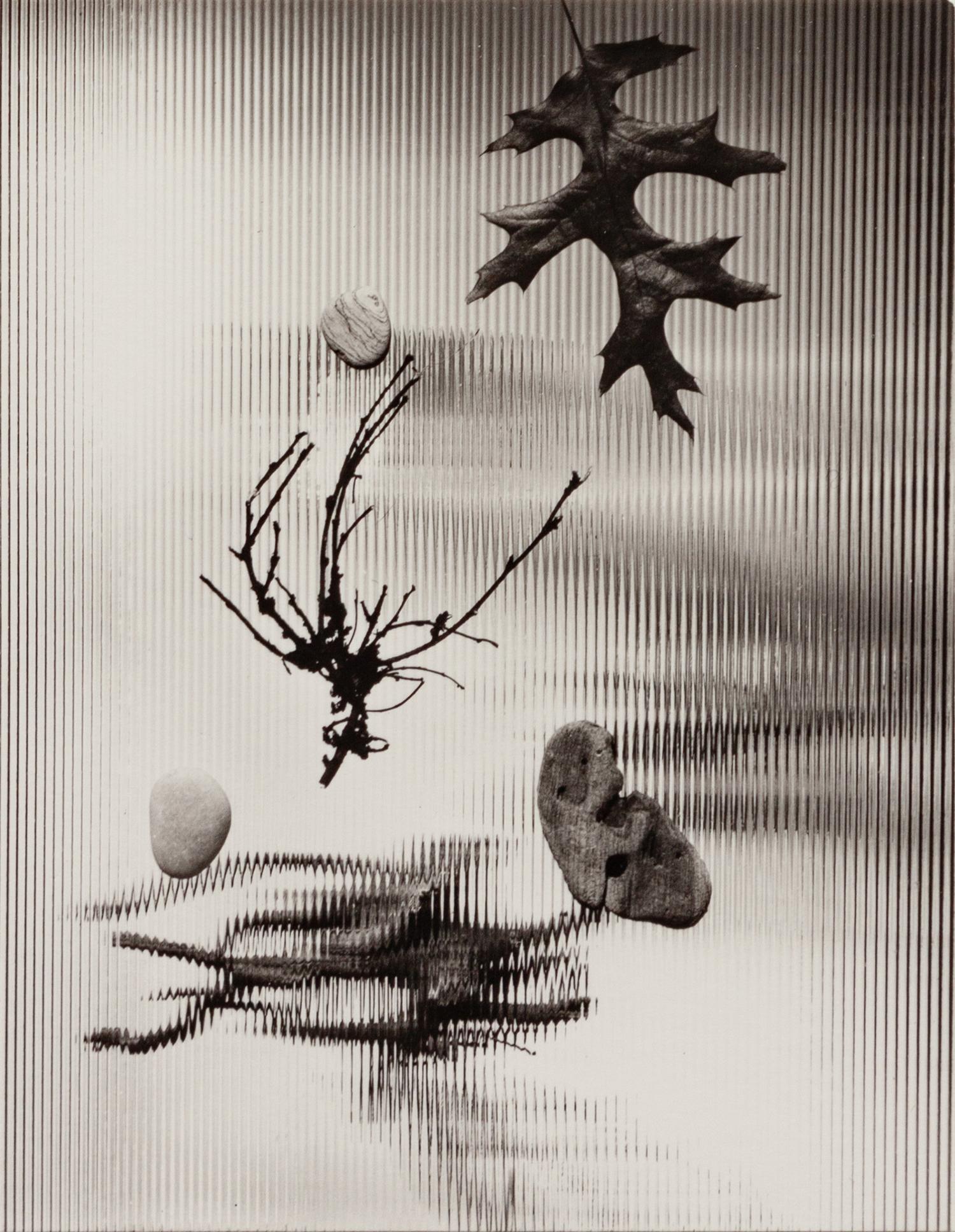 A group of four photographs ( Untitled #46; #56; #66; #86 ), 1948-1952 (printed later)