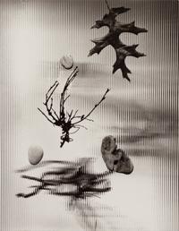 A group of four photographs ( Untitled #46; #56; #66; #86 ), 1948-1952 (printed later)