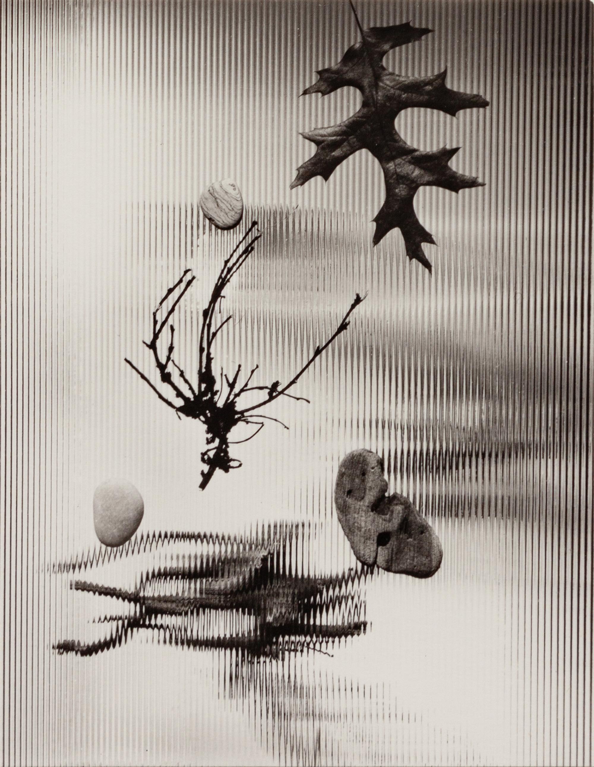 A group of four photographs ( Untitled #46; #56; #66; #86 ), 1948-1952 (printed later)