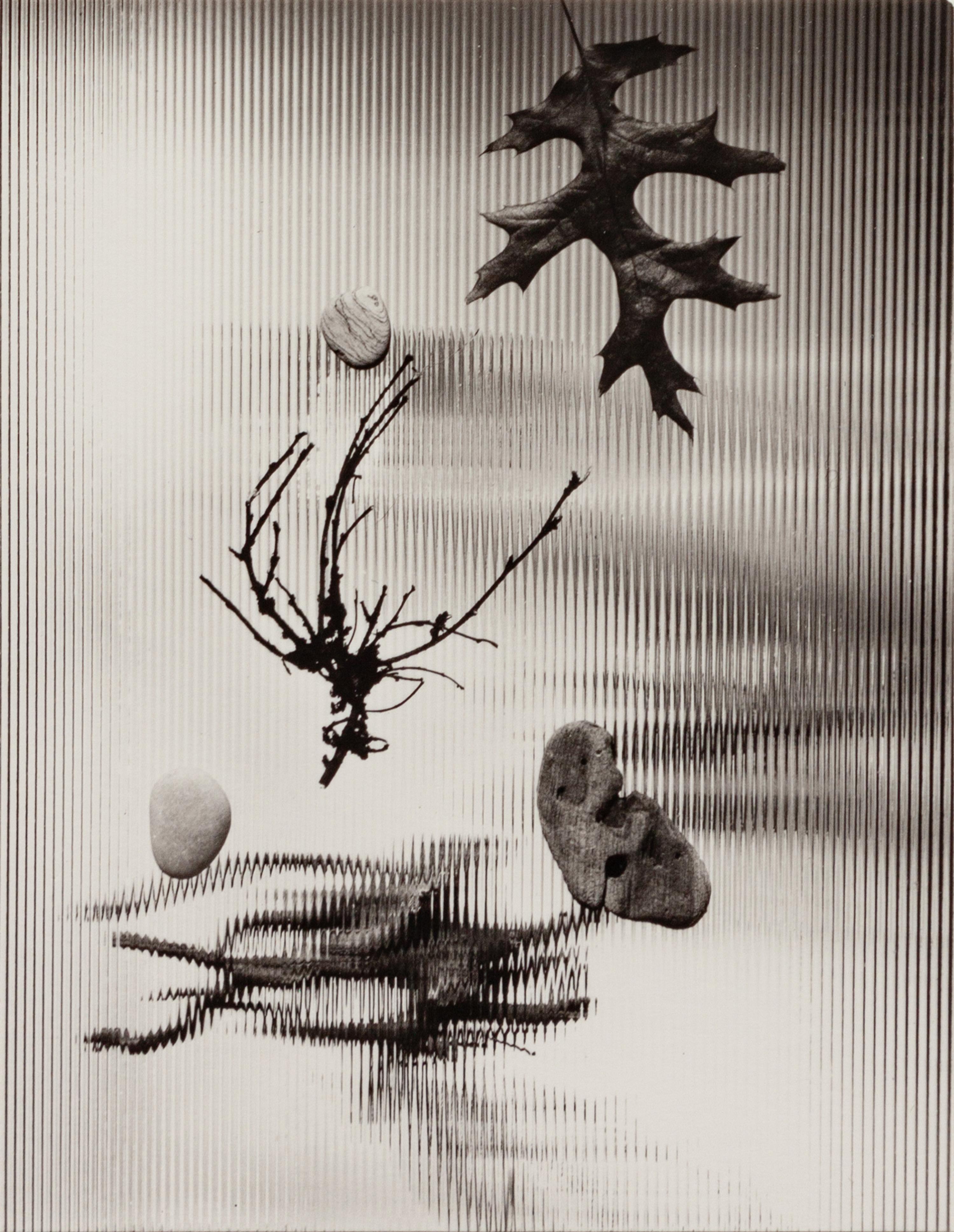 A group of four photographs ( Untitled #46; #56; #66; #86 ), 1948-1952 (printed later)