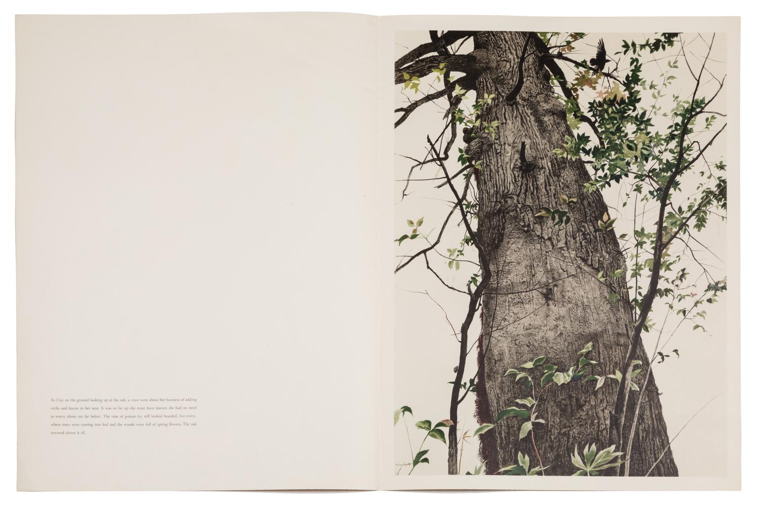 Andrew Wyeth, (American, 1917-2009), A group of four works: Cooling Shed, Christina Olsen, The Oak, and Young America