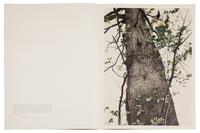 Andrew Wyeth, (American, 1917-2009), A group of four works: Cooling Shed, Christina Olsen, The Oak, and Young America