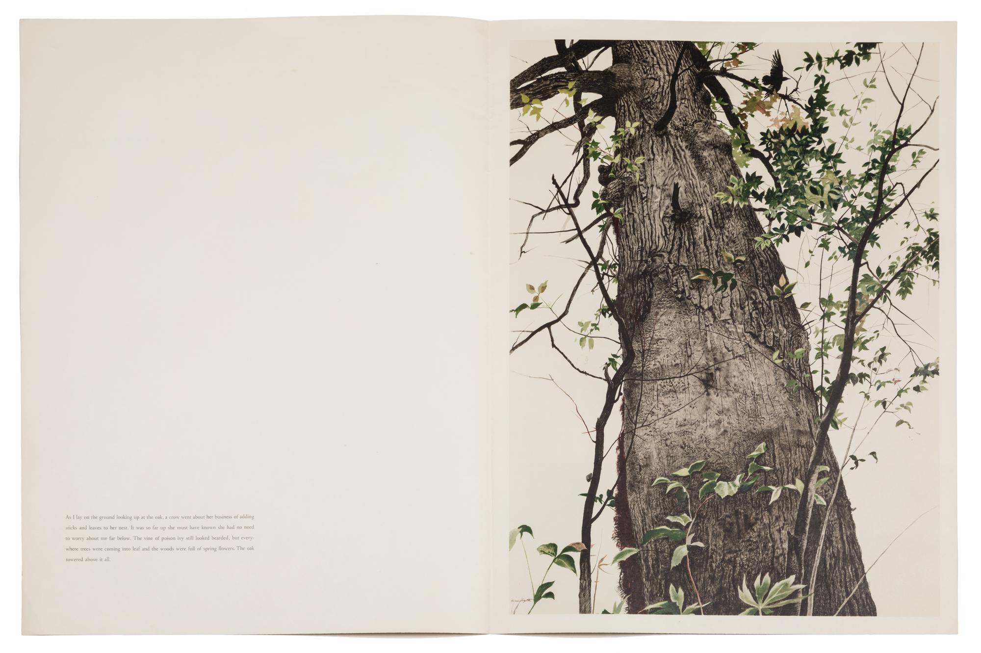 Andrew Wyeth, (American, 1917-2009), A group of four works: Cooling Shed, Christina Olsen, The Oak, and Young America